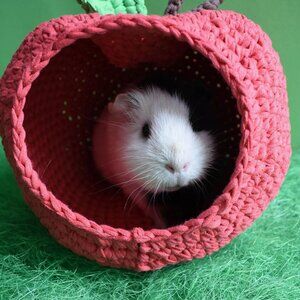Handmade Guinea Pig House: Red Apple Cozy Hideout